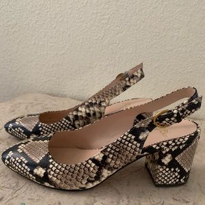 J Crew Shoes in Snake Sz 8